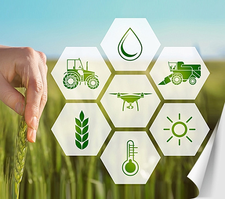 Мониторинг сельского хозяйства