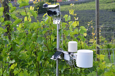 iMetos CropView
